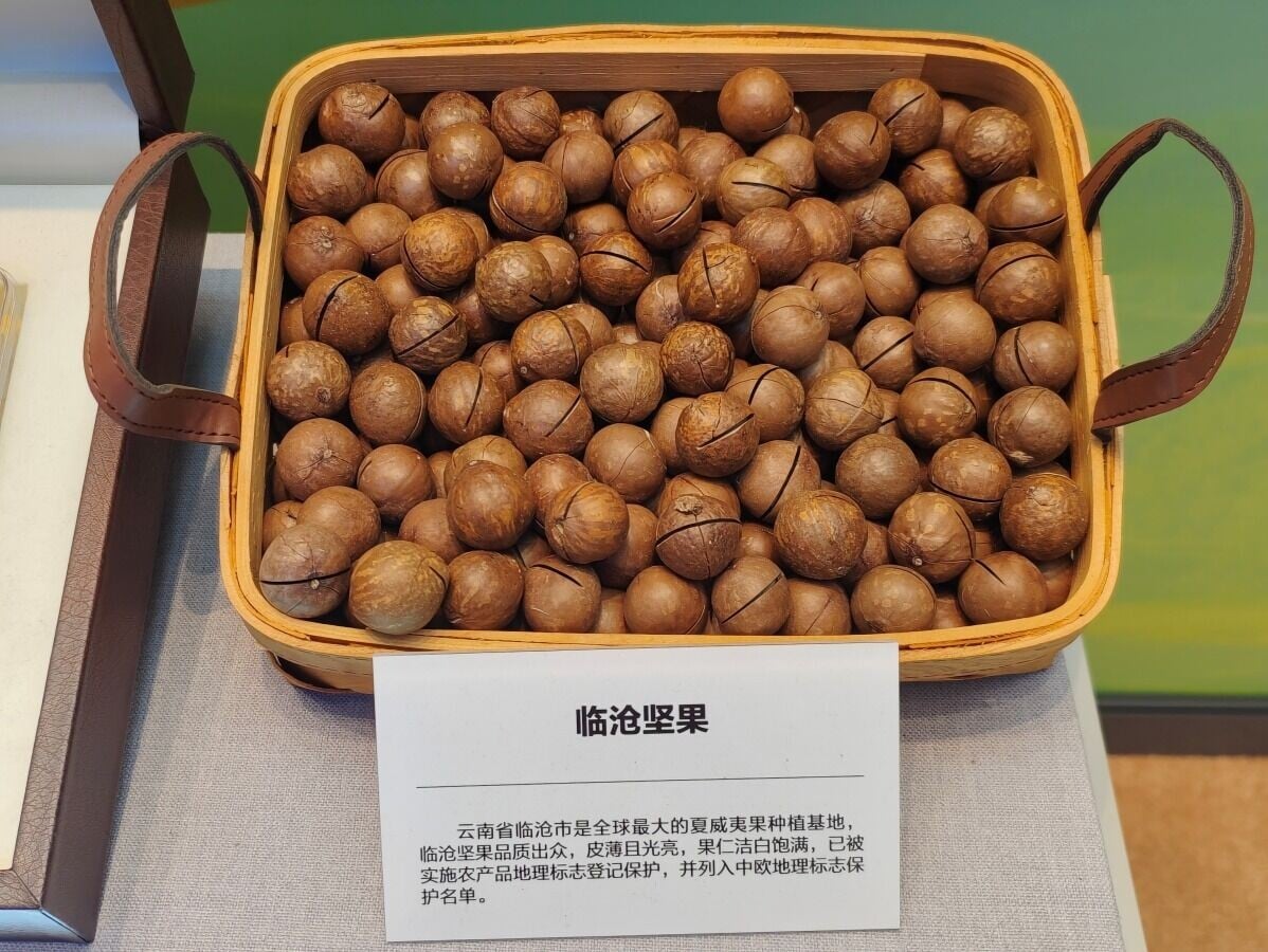 雲南臨滄夏威夷果仁作為知名農產品在北京展出。(圖片來源:視覺中國)