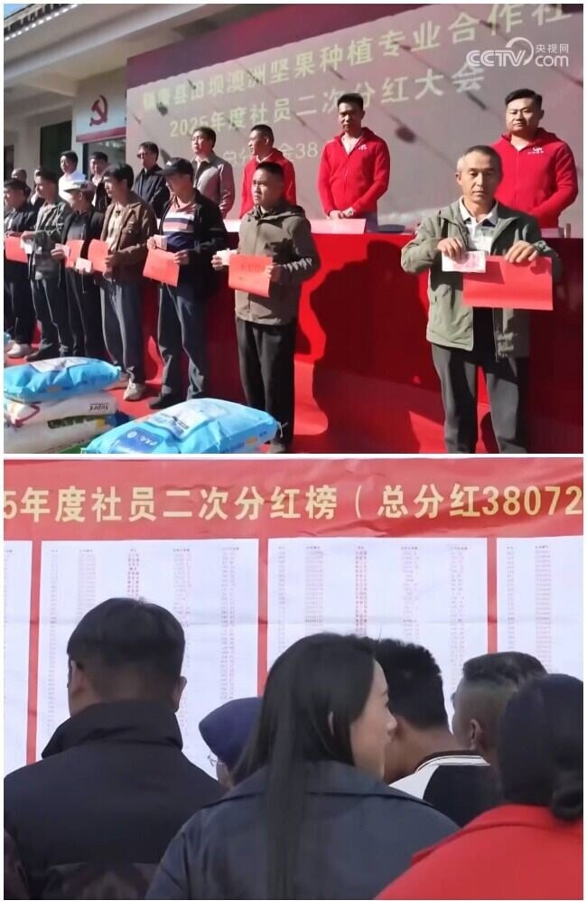 雲南臨滄市鎮康縣田垻村的夏威夷果合作社二次分紅大會。(央視視頻截圖)