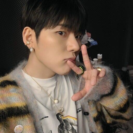 ZICO 6