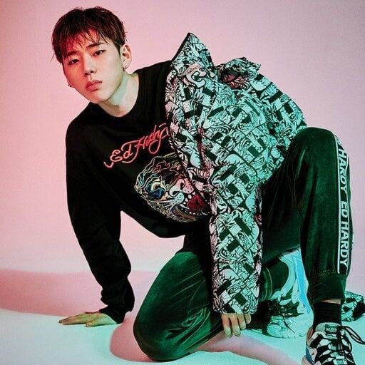 ZICO 8