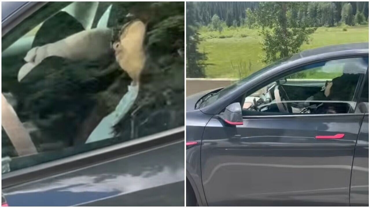 加國女開Tesla自駕定速100公里，載3人齊入睡嚇壞鄰車。(YT)