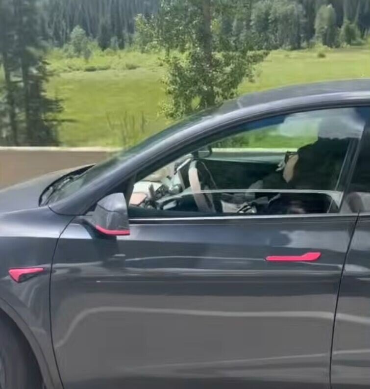 女司機戴著太陽鏡、雙眼閉著、低著頭,疑似已經睡著,而車輛仍持續以約100km/h速度行駛。(YT)