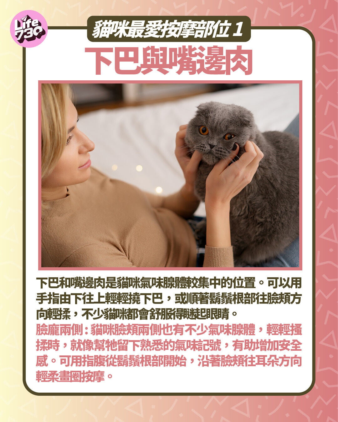 貓咪最愛按摩部位1:下巴與嘴邊肉