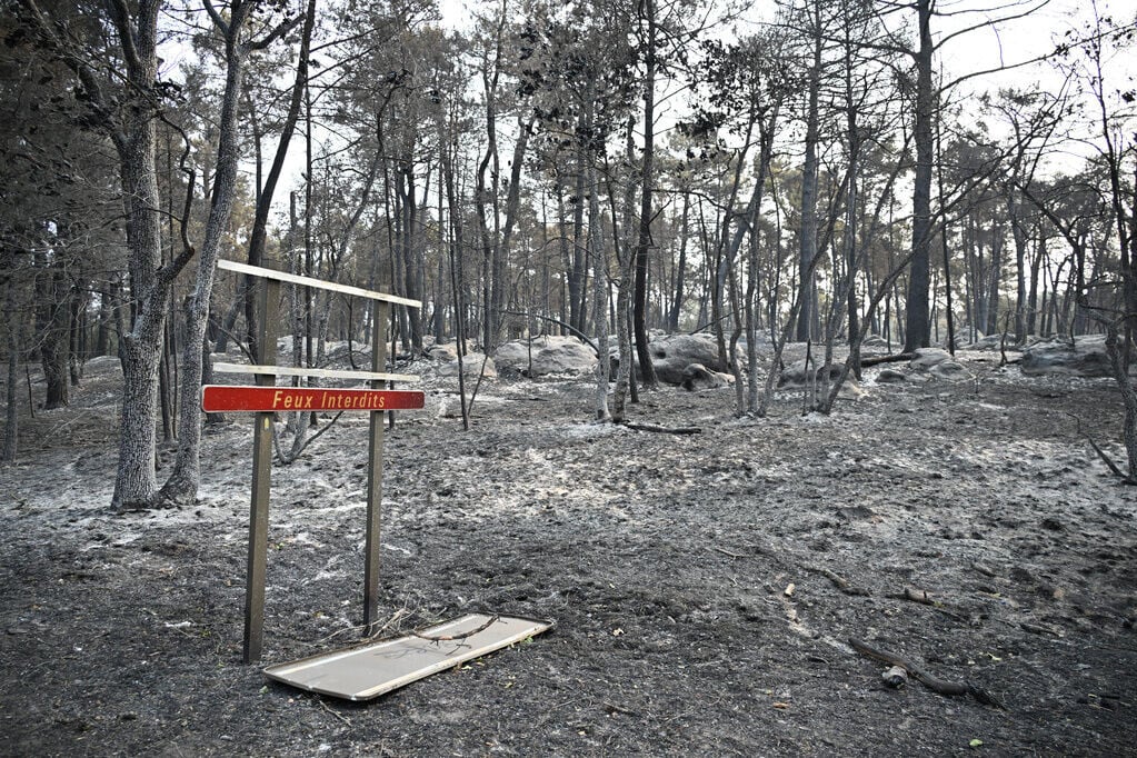 法國巴黎東南方著名的楓丹白露森林(Fontainebleau Forest)近日爆發大規模山火(AP)