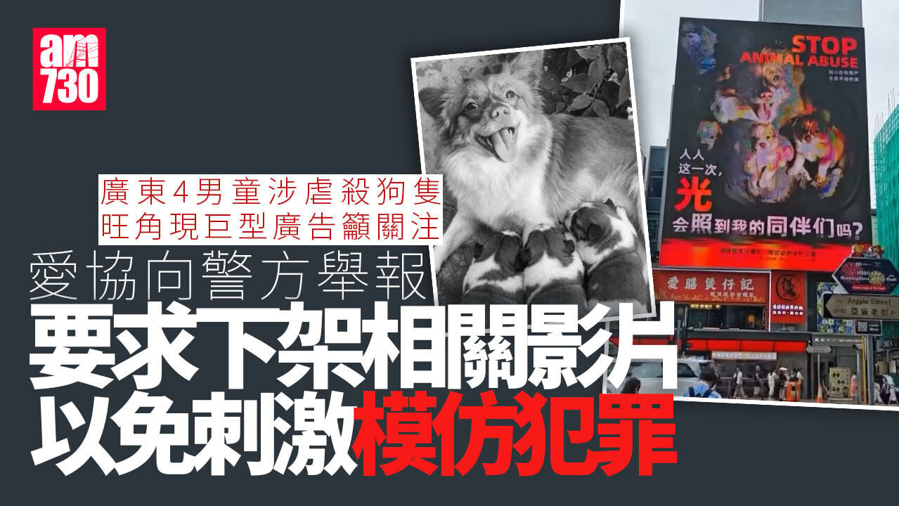 揭陽虐狗案｜旺角巨型廣告籲關注事件 愛協向警方舉報影片免模仿犯罪