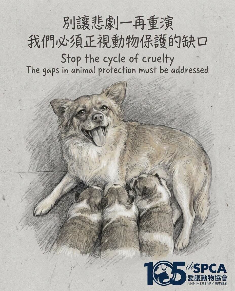 廣東揭陽4名未滿14歲的男童涉嫌縱火虐殺犬隻「旺旺」及其數隻幼犬,事件於內地及本港社交平台流傳,愛護動物協會發帖稱對事件感到痛心憤怒,已向香港警方舉報。(愛護動物協會FB)