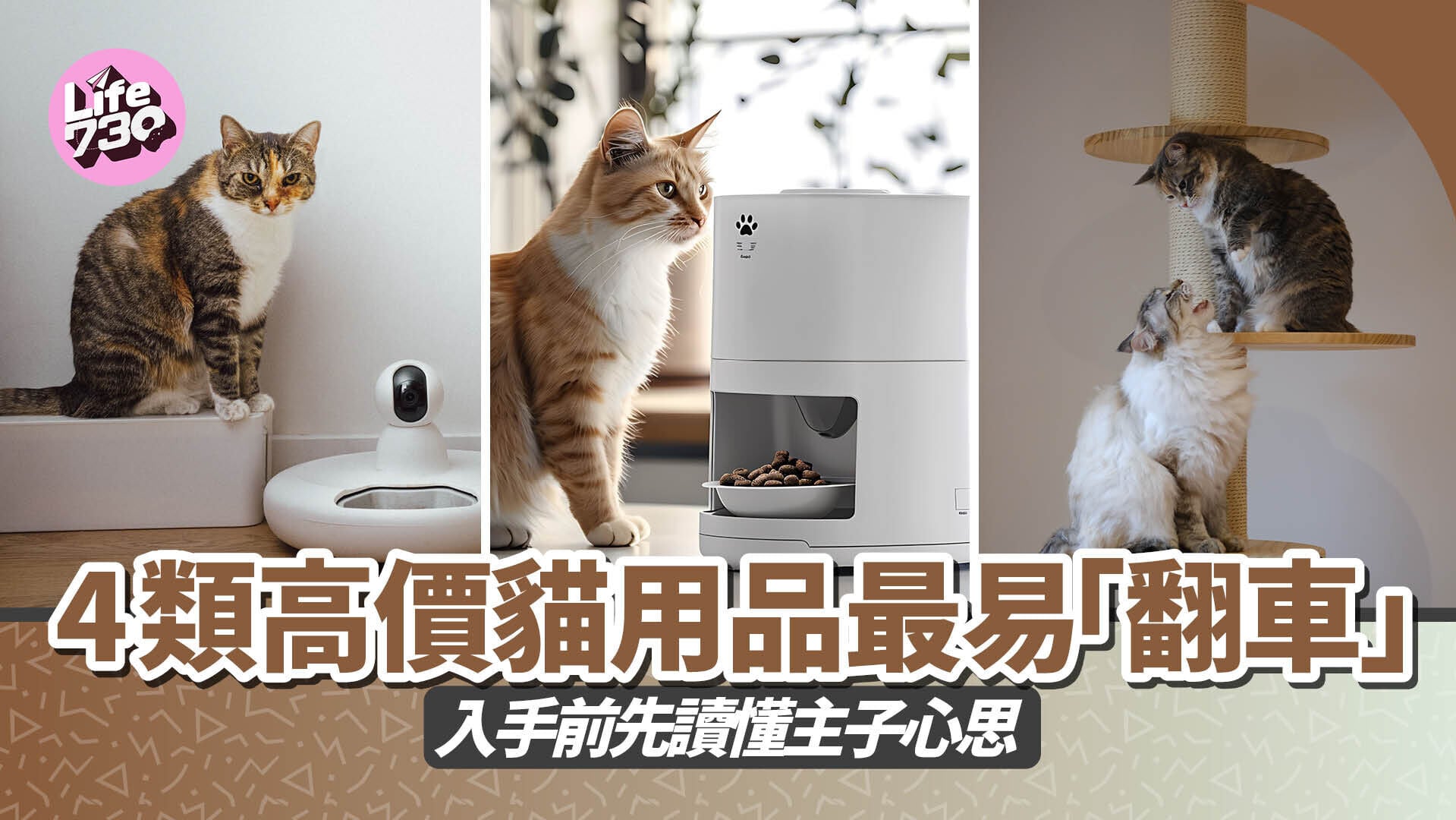 4類高價貓用品最易「翻車」　入手前先讀懂主子心思