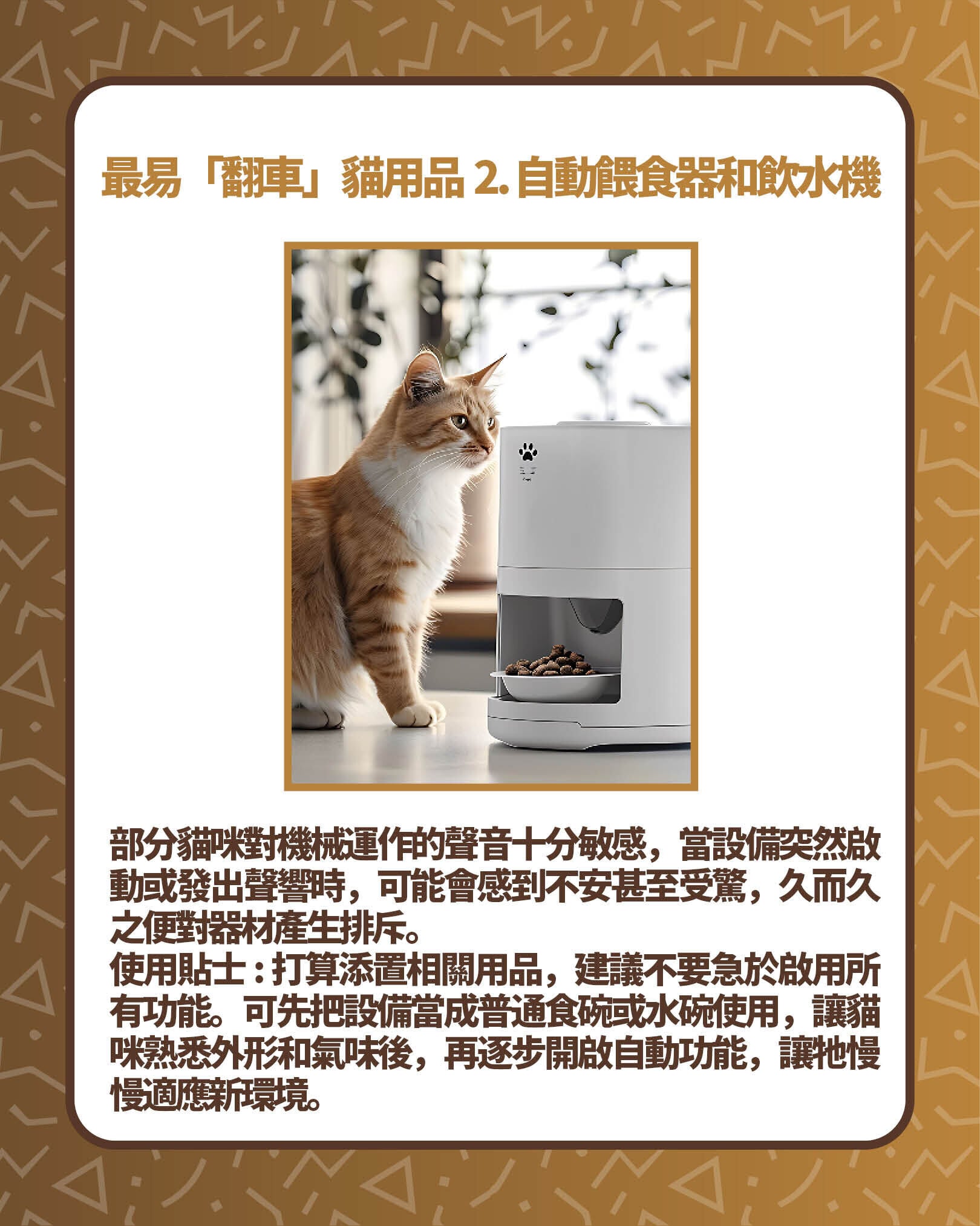 最易「翻車」貓用品2. 自動餵食器和飲水機