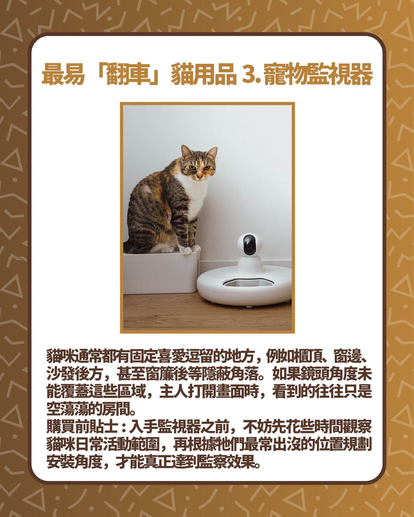 最易「翻車」貓用品3. 寵物監視器