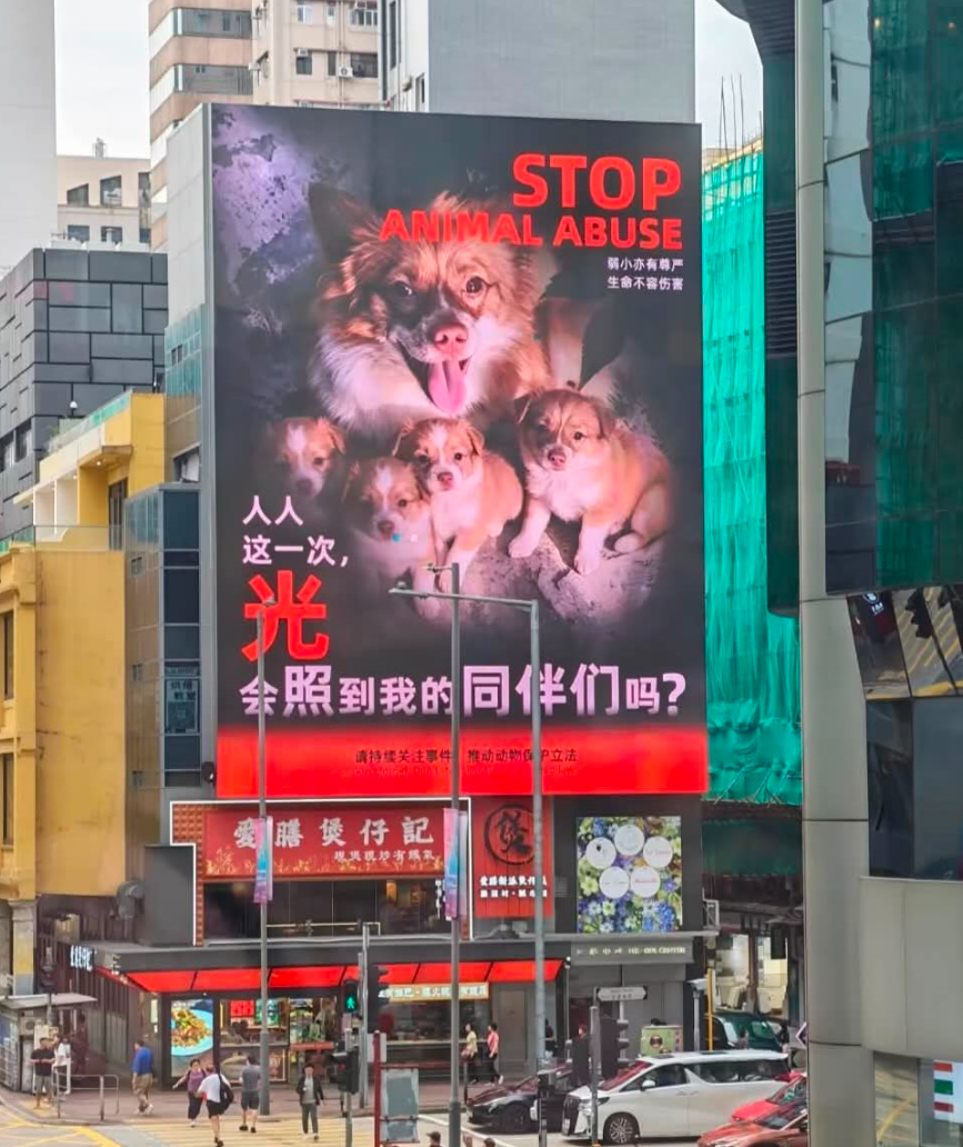 旺角街頭日前出現大型廣告,呼籲關注揭陽虐殺狗隻案。(網上圖片)