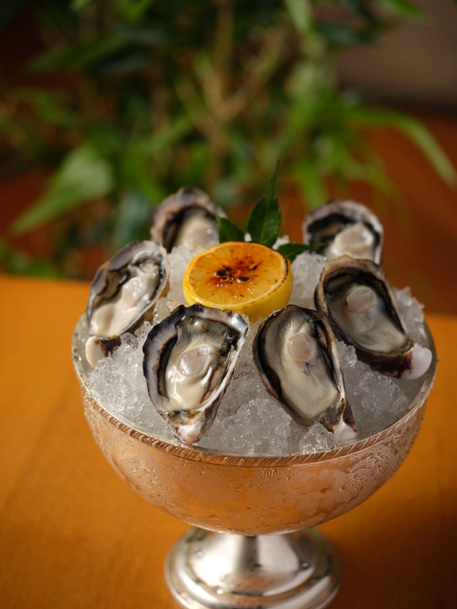 Add ons 惠比壽生蠔 Ebisu Oysters (6 pieces HK$418)