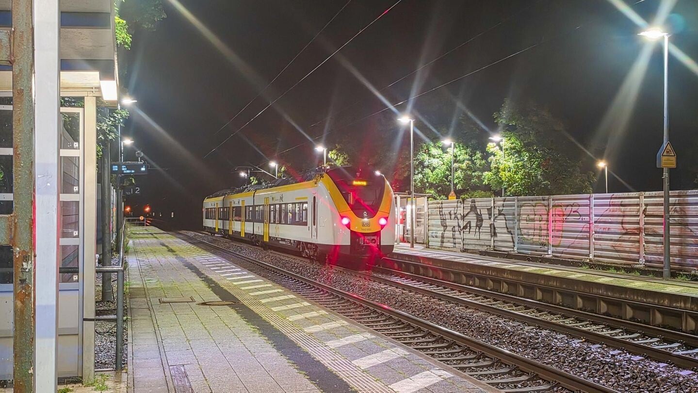德國鐵路保安查車票 被醉漢摔出行駛中列車外危殆
