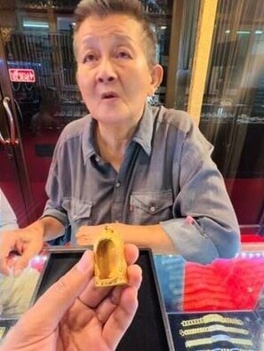 泰國流浪貓狗
