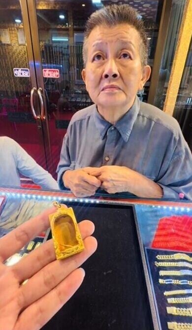 泰國流浪貓狗