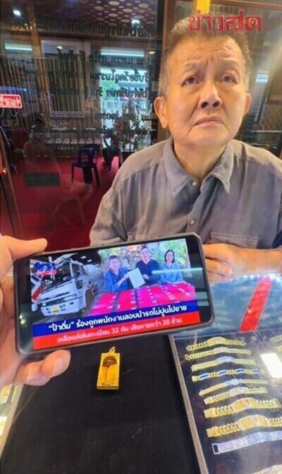 泰國流浪貓狗
