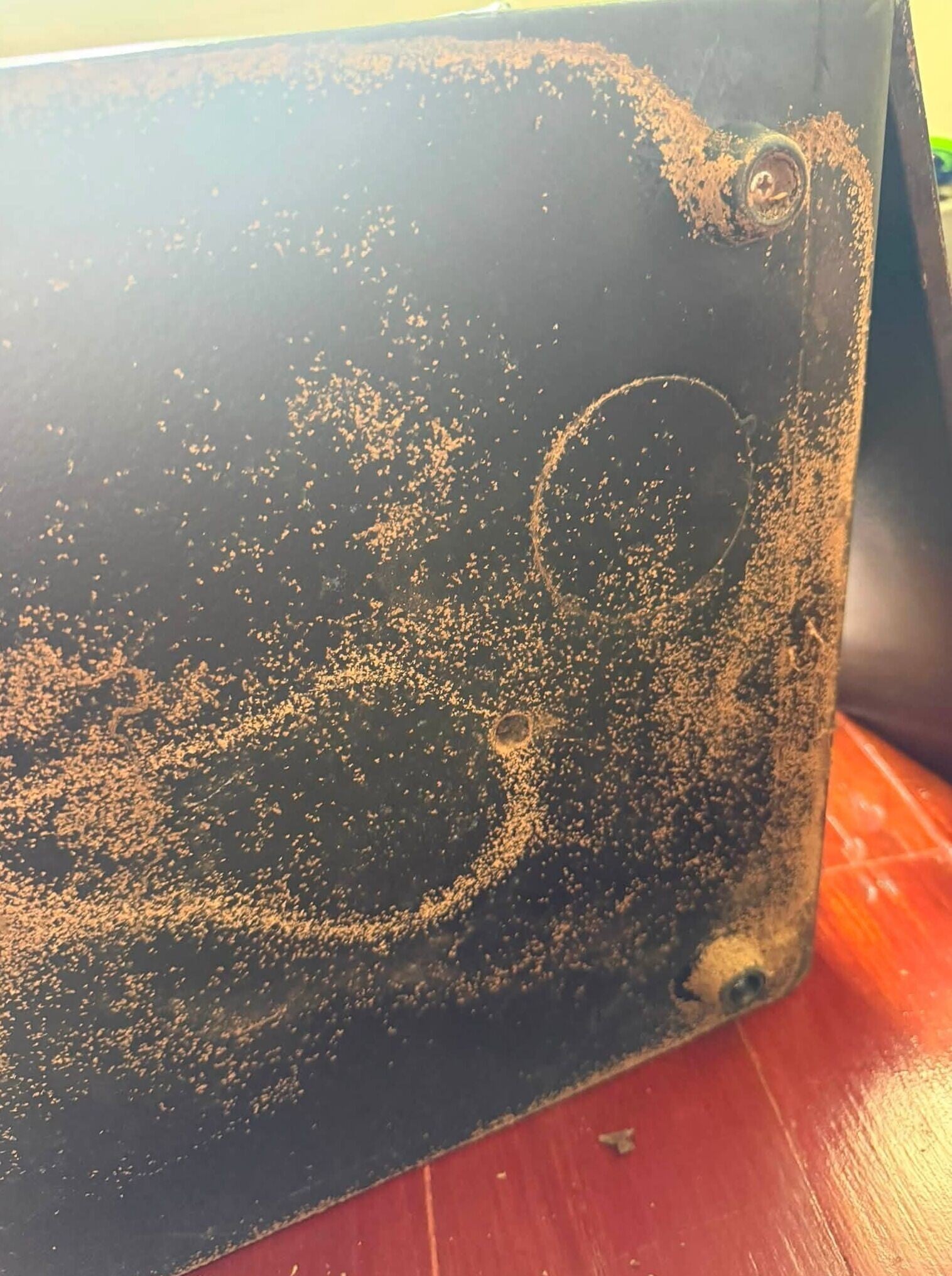 泰國白蟻