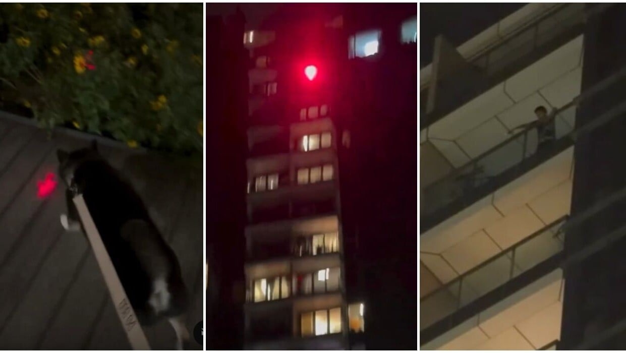 將軍澳海天晉住戶用鐳射筆射公園，網民斥專瞄準狗隻。(Threads)