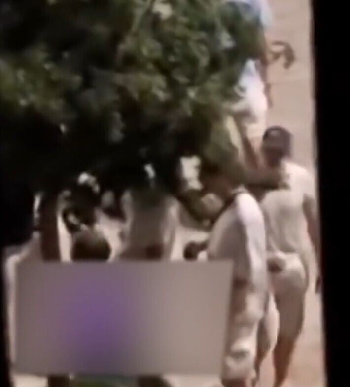 據指同一群人再向樹上小便。(X)