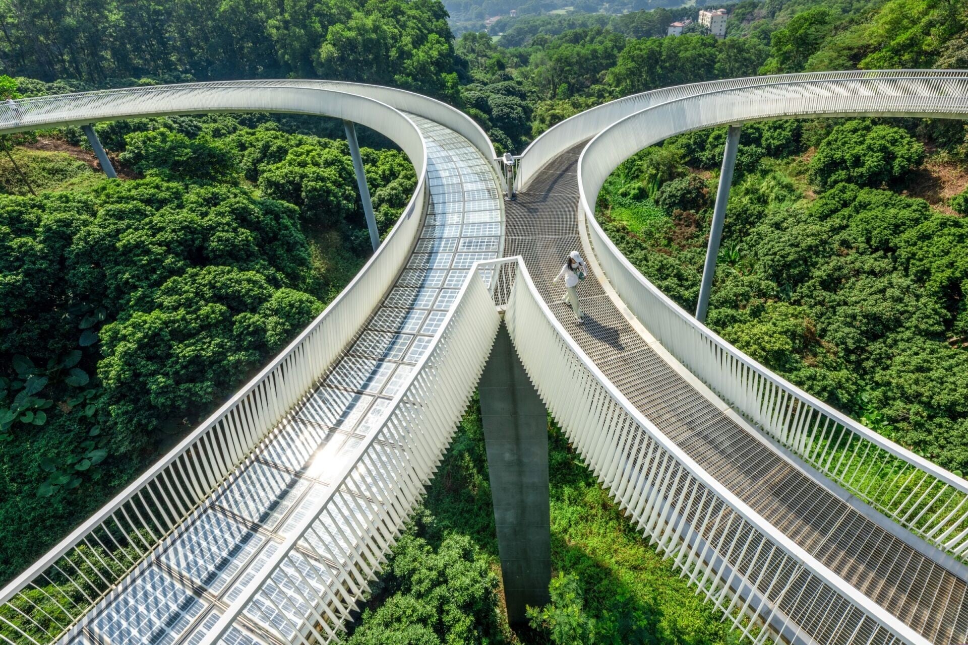 大頂嶺綠道全長約6.4公里,貫穿大頂嶺、公明水庫等山湖園林,被譽為深圳最美的山湖綠道之一。沿途必經有「三橋」——浮橋(懸浮玻璃步道,夜間自體發光)、探橋(橢圓網狀親水棧道)、懸橋(中國首座鋼板帶橋,橫跨30米峽谷)。(圖片來源:視覺中國)