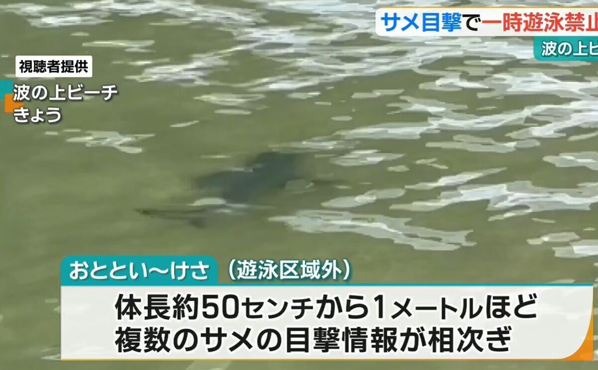 沖繩那霸市波之上海灘