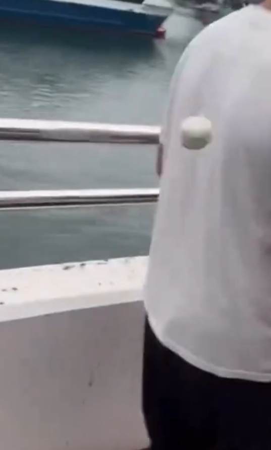 多輛俗稱「子彈仔」的改裝單車,不分晝夜在荃灣西海傍穿梭,沿途有單車上的少年手執垃圾、水彈、石塊,隨機擲向途人後逃去,當中物件更懷疑包括俗稱「馬蹄鐵」的單車煞車部件「U片」,亦有人蓄意向婦人淋潑液體,最少有3名途人遇襲,不過片段未能顯示事發時間及日期。(影片截圖)