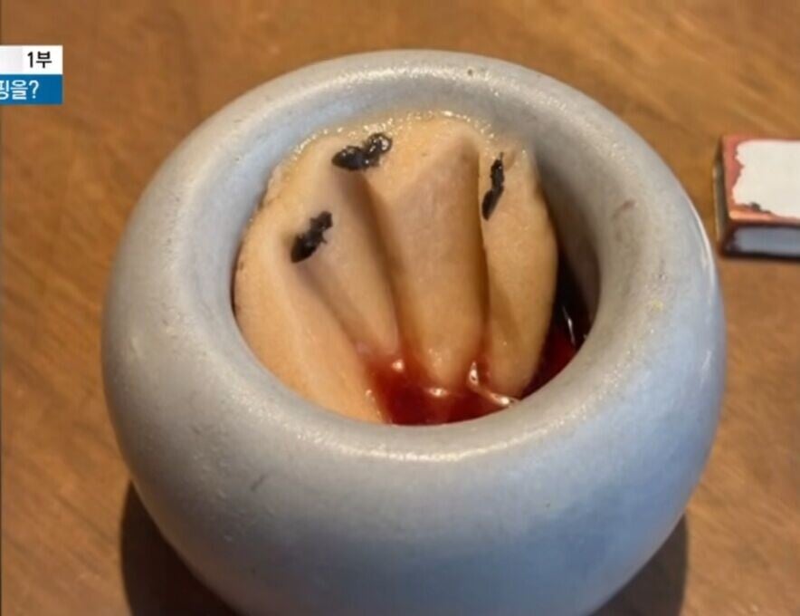 南韓米芝蓮餐廳用黑蟻裝飾雪葩