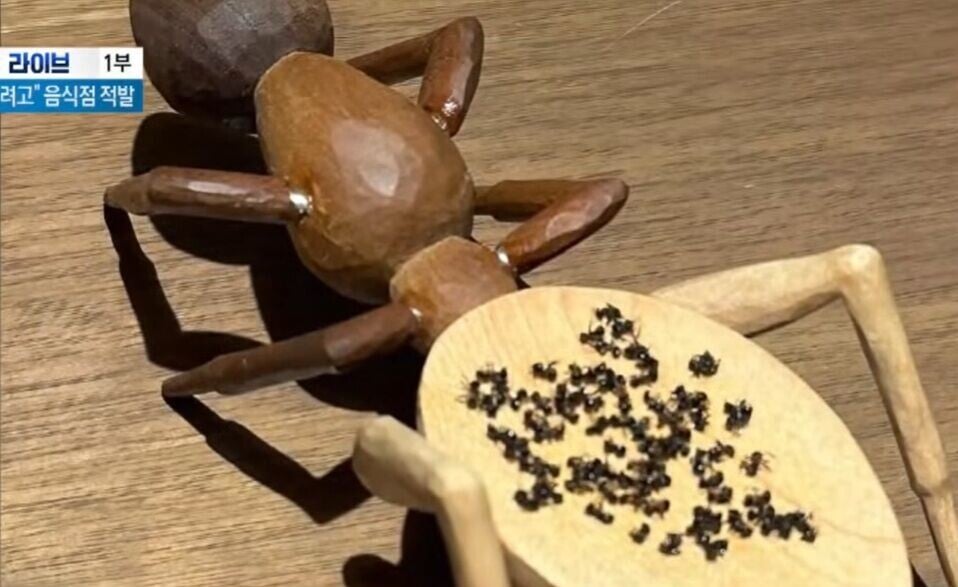 南韓米芝蓮餐廳用黑蟻裝飾雪葩