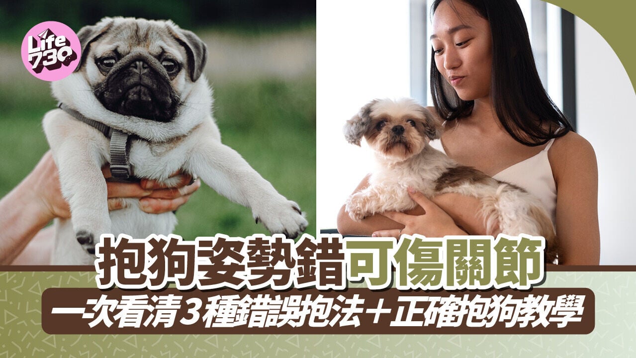 抱狗姿勢錯可傷關節！一次看清3種錯誤抱法＋正確抱狗教學