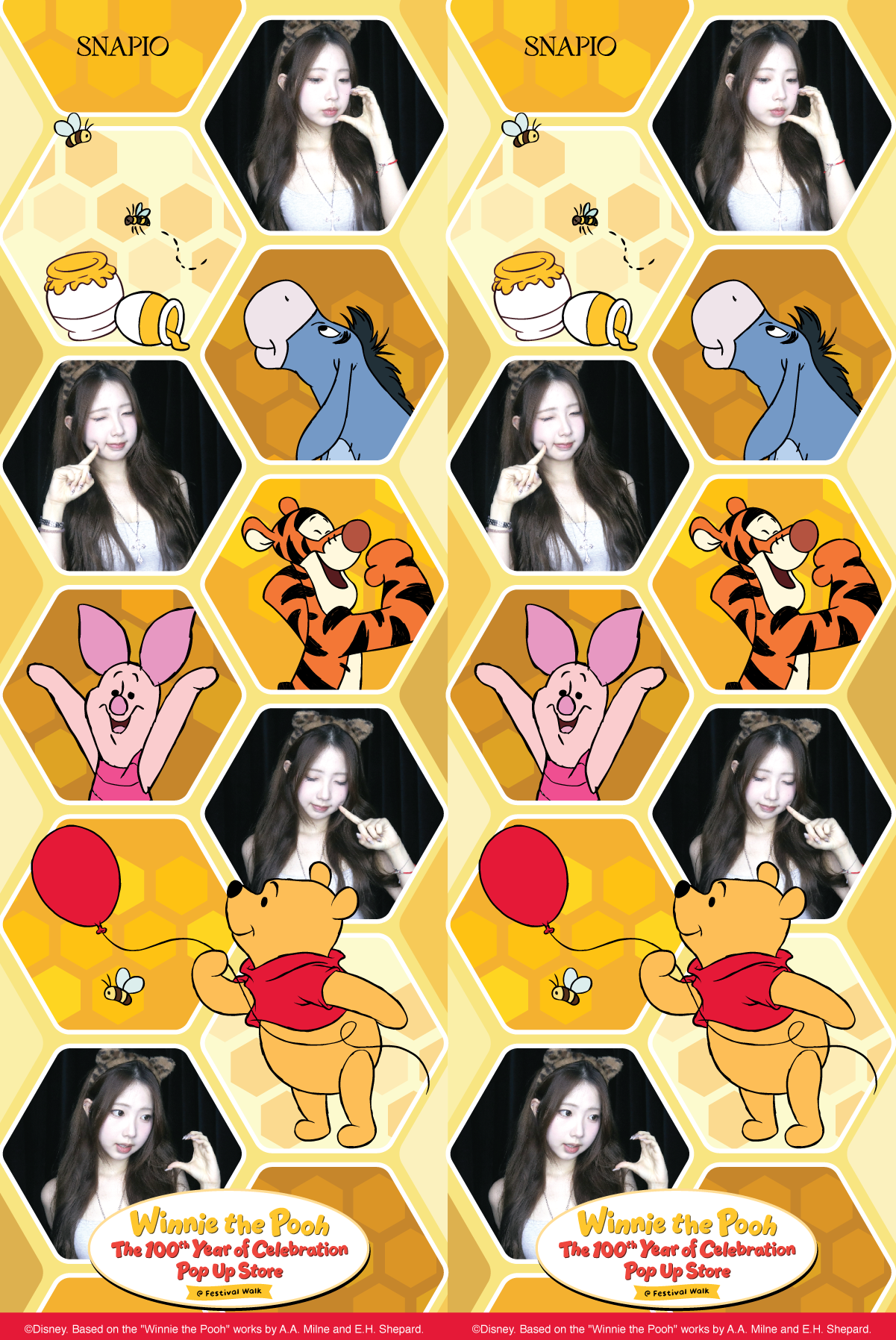 Disney Pooh 100th 2x6 B