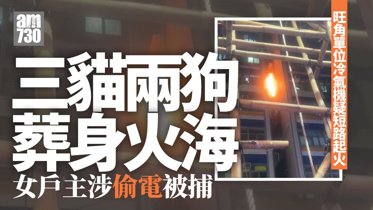 旺角單位冷氣機疑短路起火5貓狗葬火海　女戶主涉偷電被捕(有片)