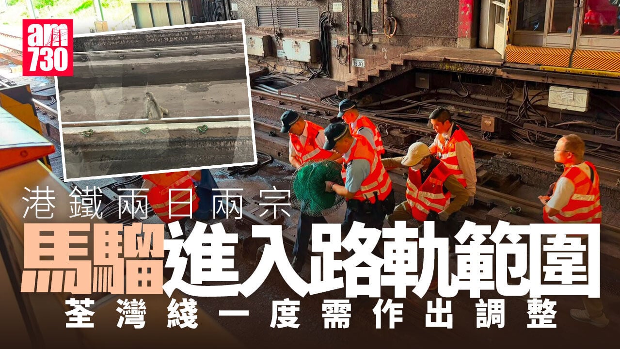 港鐵｜兩日兩宗猴子進入路軌範圍　港鐵：荃灣綫服務逐步回復正常