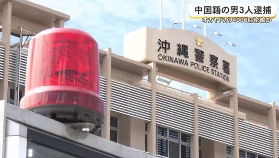 警方表示,3人被捕後有2人否認犯案。(YouTube)