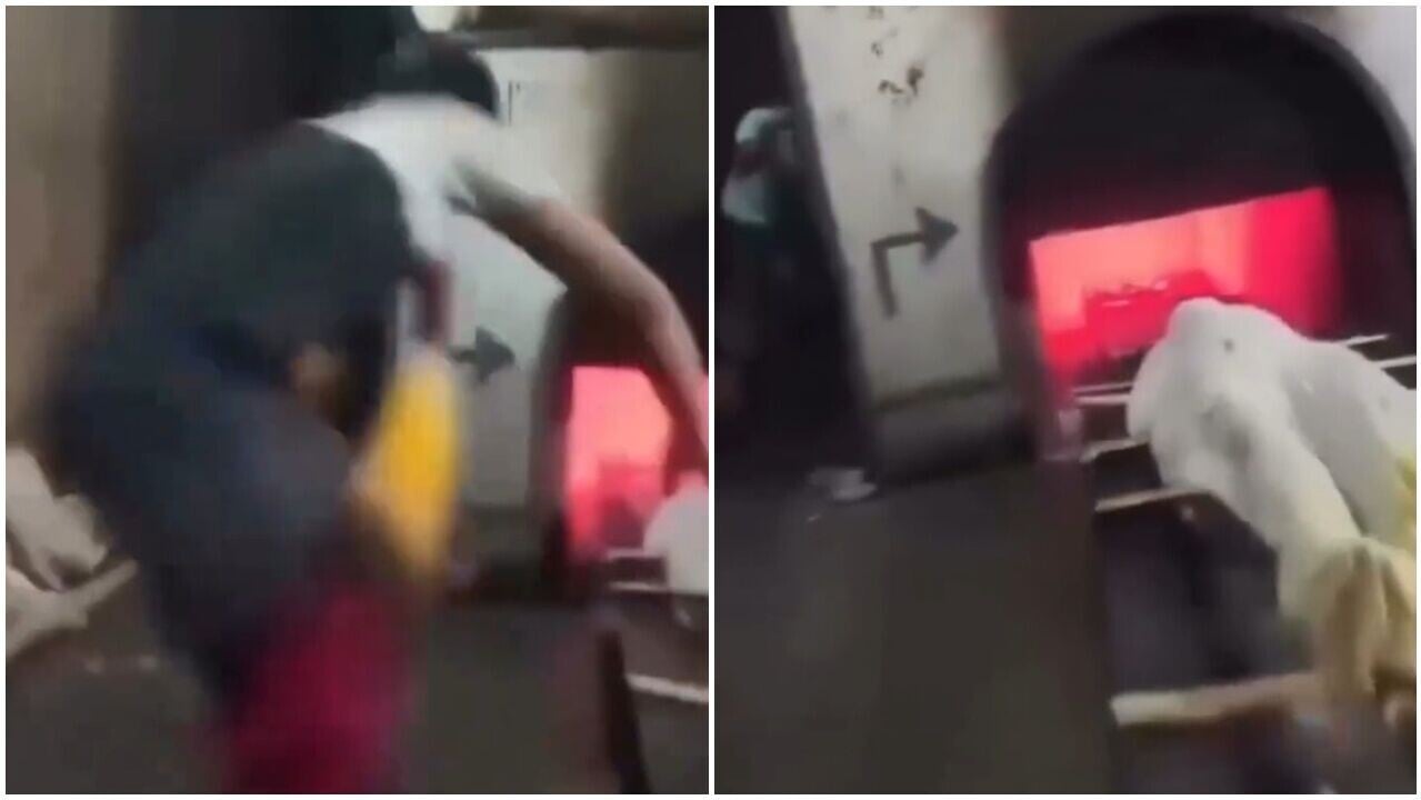 珍惜生命，無法接受祖母去世，孫兒抱屍齊進火化爐。(X)