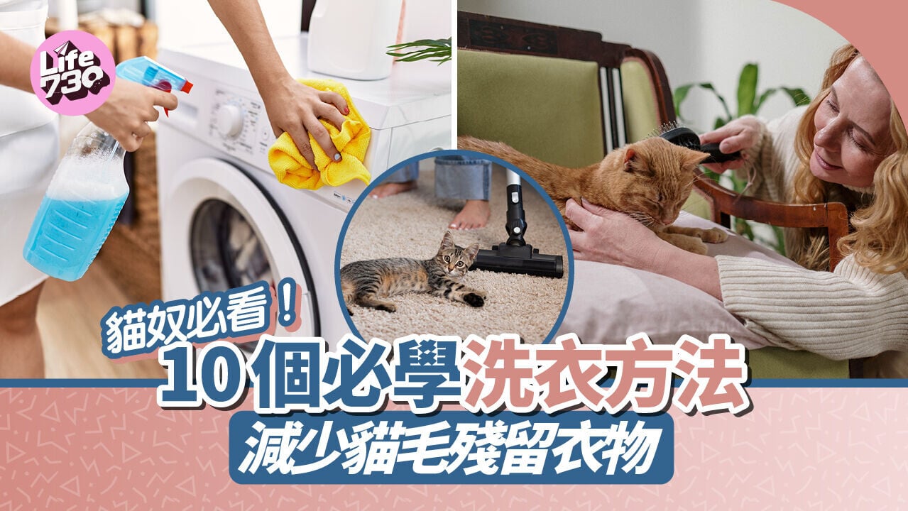 貓奴必看！10個必學洗衣方法 減少貓毛殘留衣物