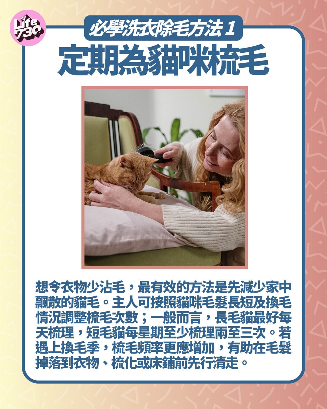 必學洗衣除毛方法1. 定期為貓咪梳毛