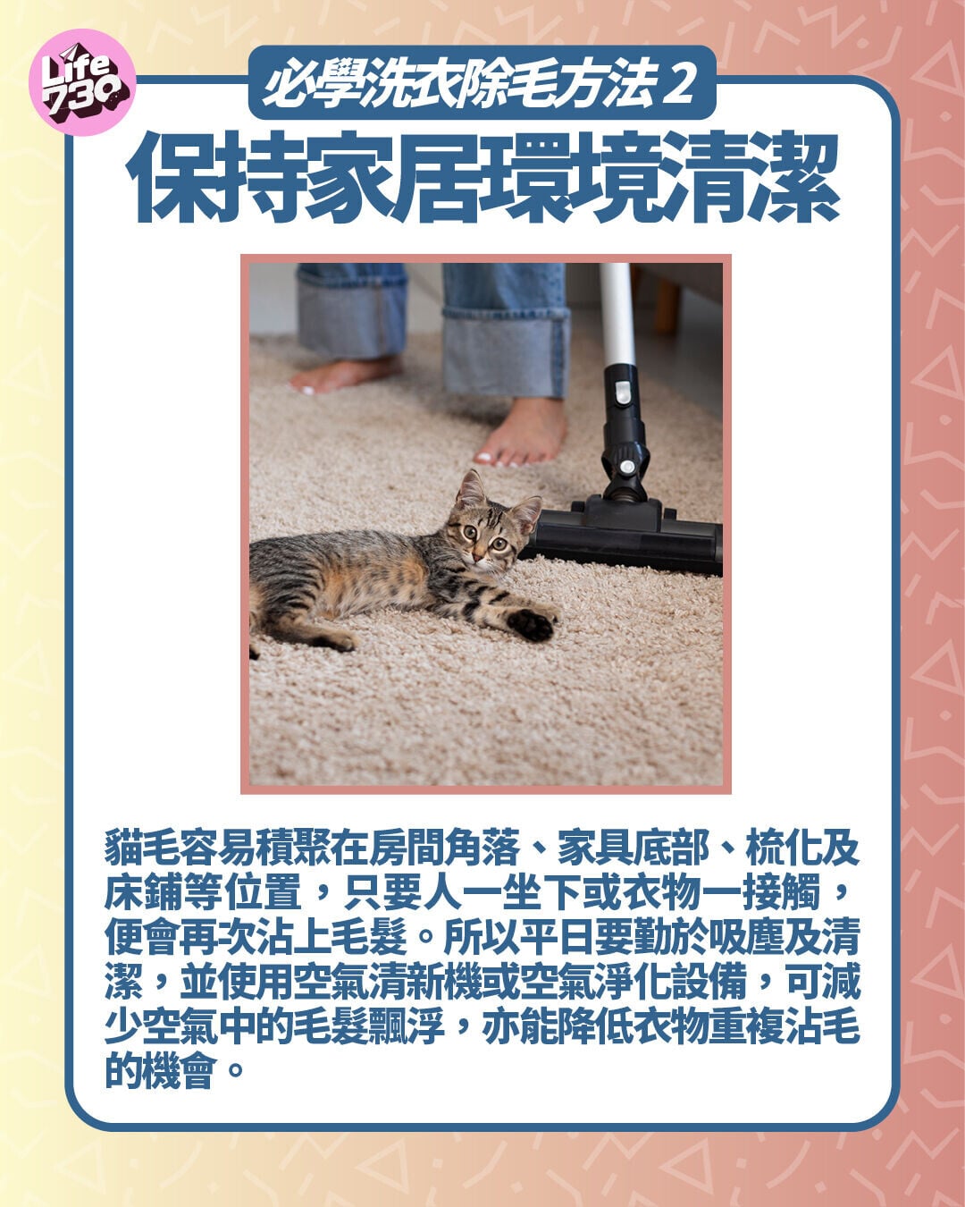必學洗衣除毛方法2. 保持家居環境清潔