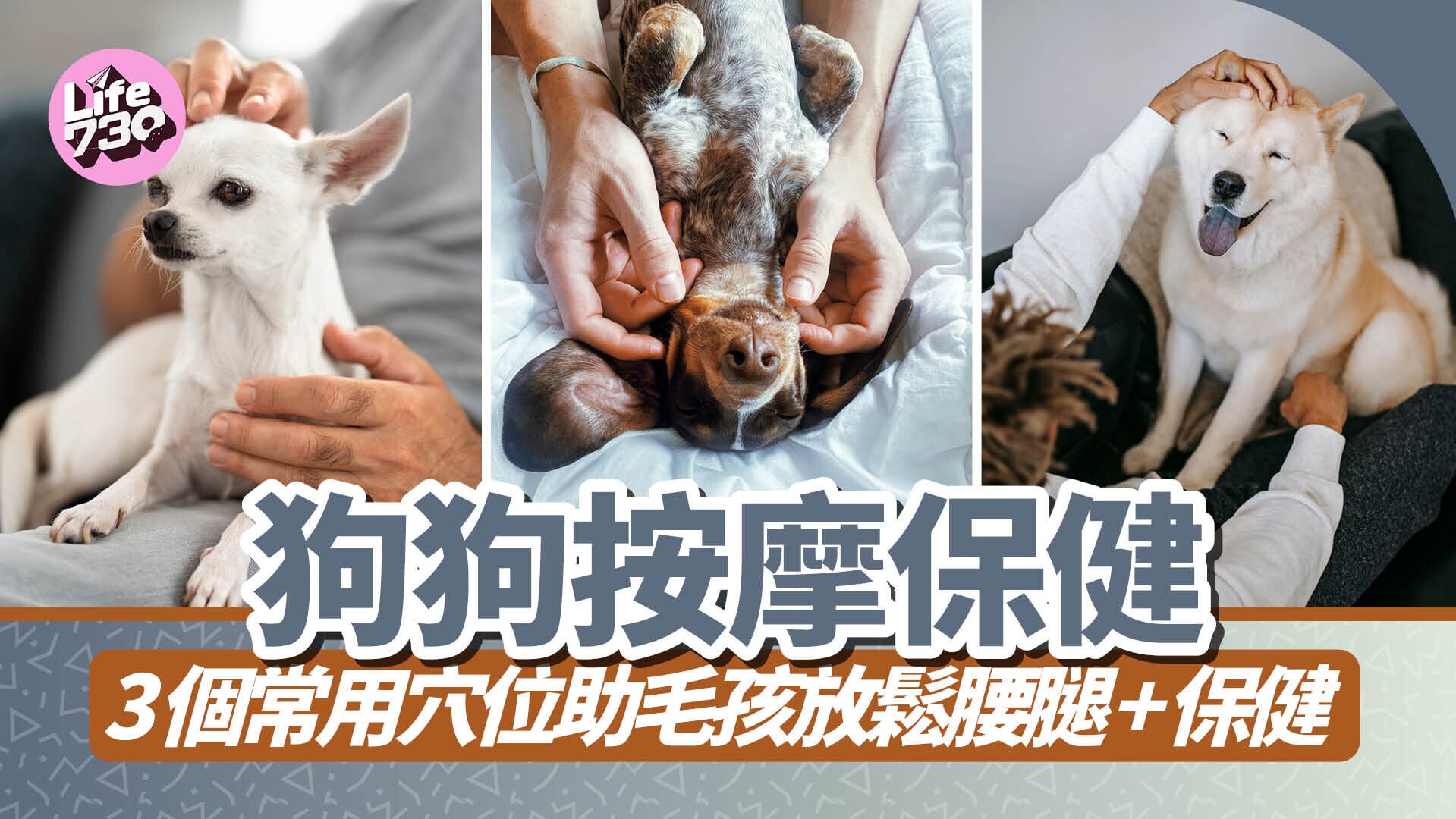 狗狗按摩保健｜3個常用穴位助毛孩放鬆腰腿+保健