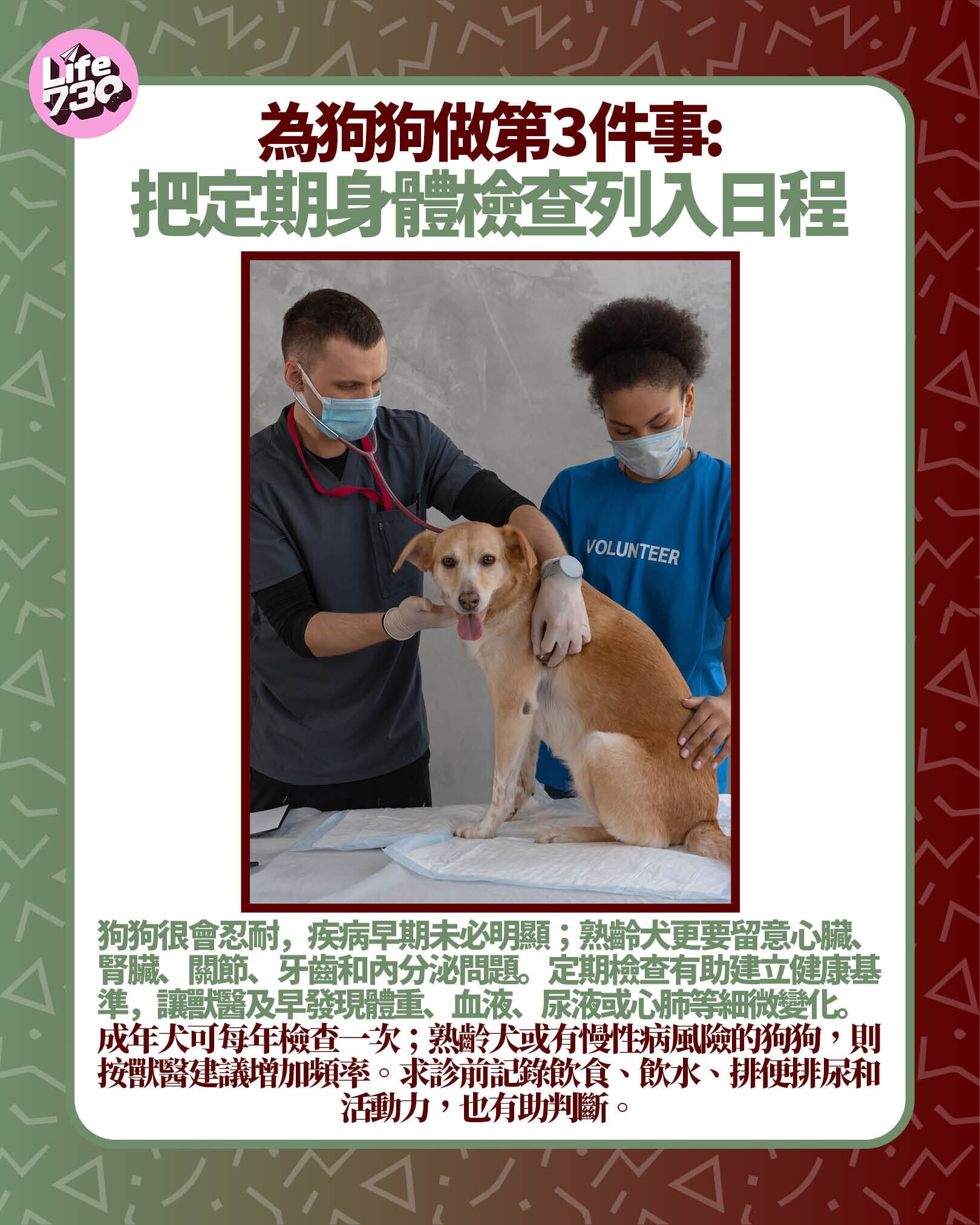 為狗狗做第3件事: 把定期身體檢查列入日程