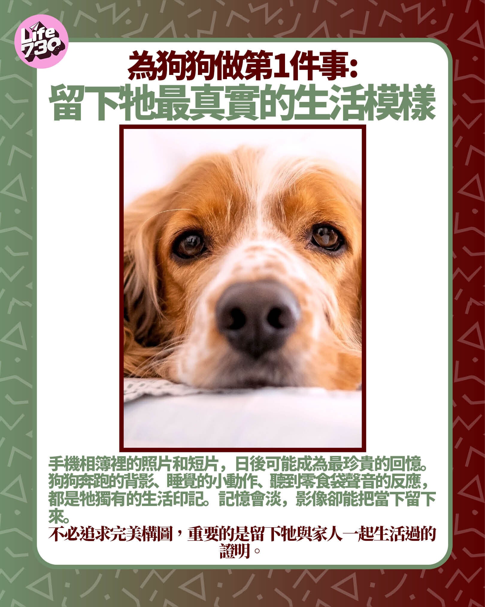 為狗狗做第1件事: 留下牠最真實的生活模樣