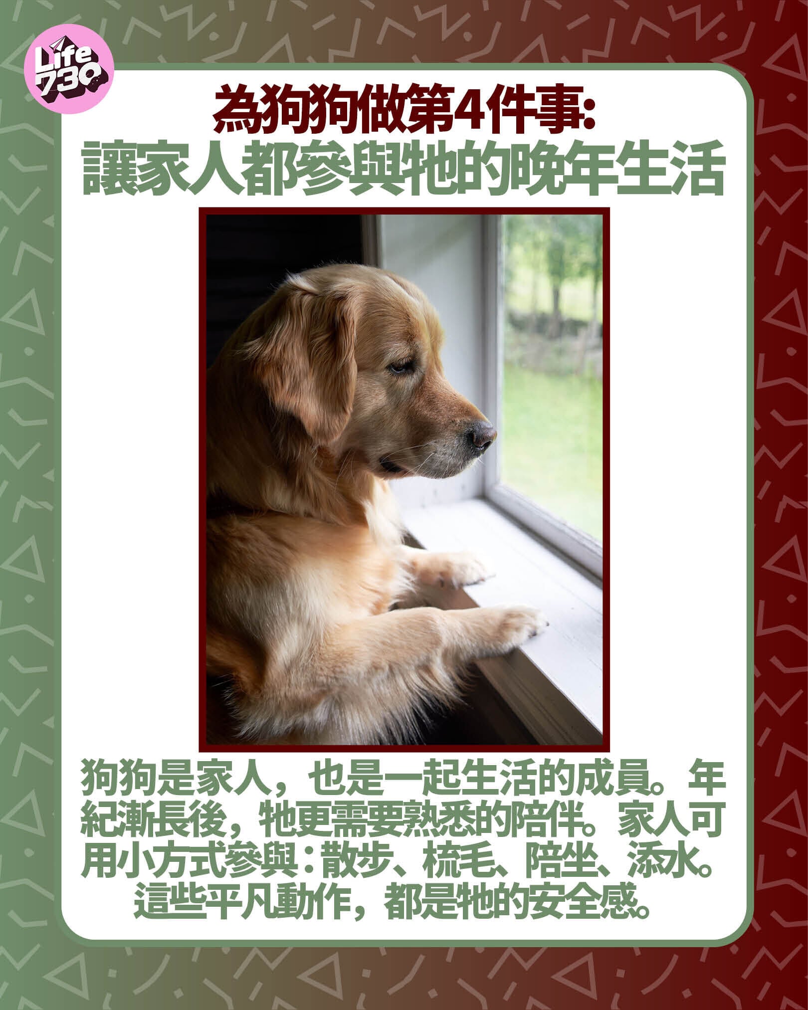為狗狗做第4件事: 讓家人都參與牠的晚年生活