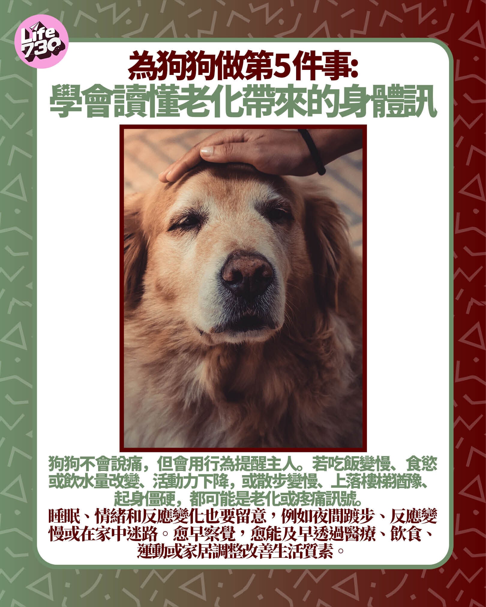 為狗狗做第5件事: 學會讀懂老化帶來的身體訊號