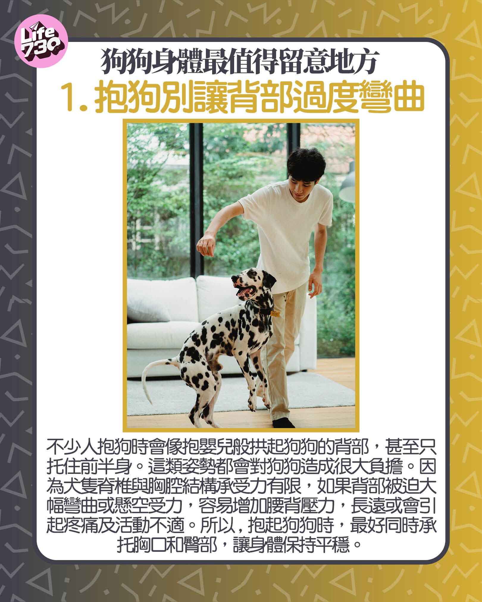 狗狗身體最值得留意地方1. 抱狗別讓背部過度彎曲