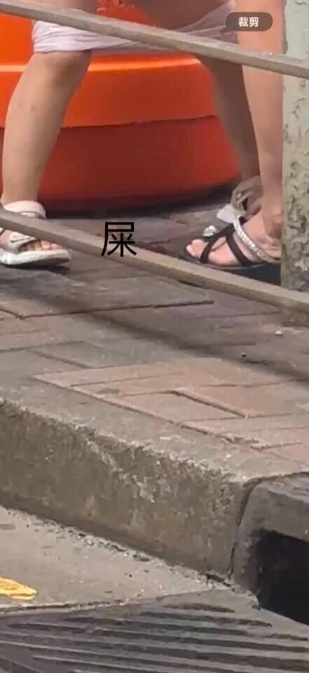 一名女童在銅鑼灣街頭當眾脫褲大便(FB「車cam L香港群組」)