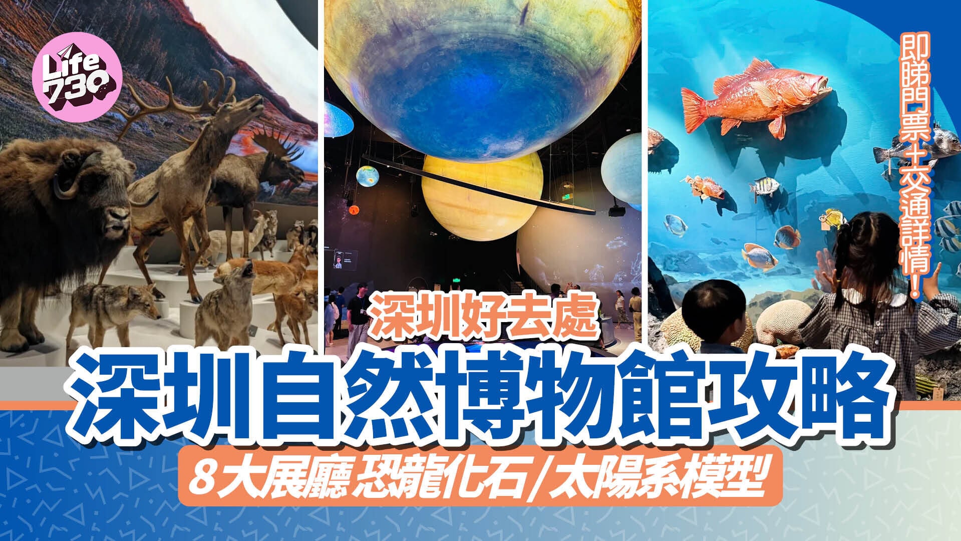 深圳好去處｜深圳最新自然博物館7.28開幕 8大展廳打卡恐龍化石/太陽系模型 即睇門票+攻略