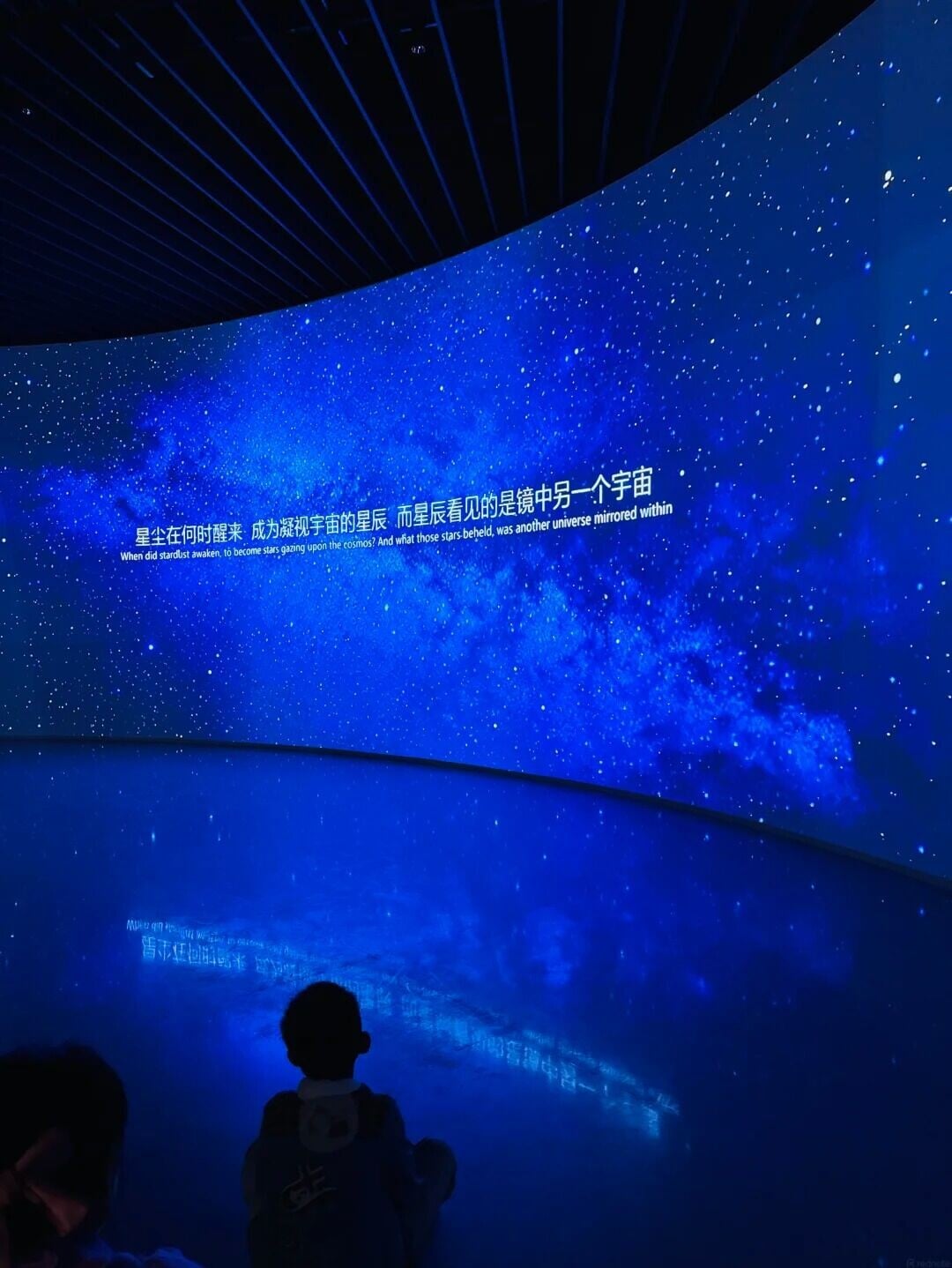刚去完❗️10万平深圳自然博物馆直接封神❗️ 15 Hugo的生活游记 來自小紅書網頁版