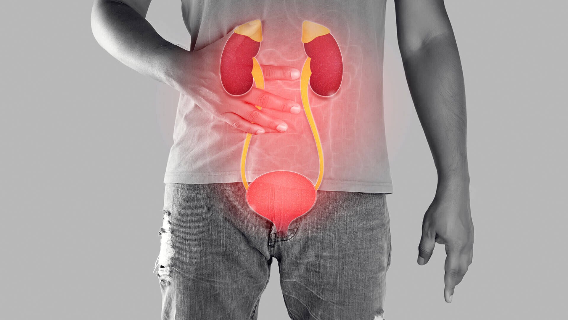 男士膀胱炎延誤治療可永久傷腎 高危因素要留意！