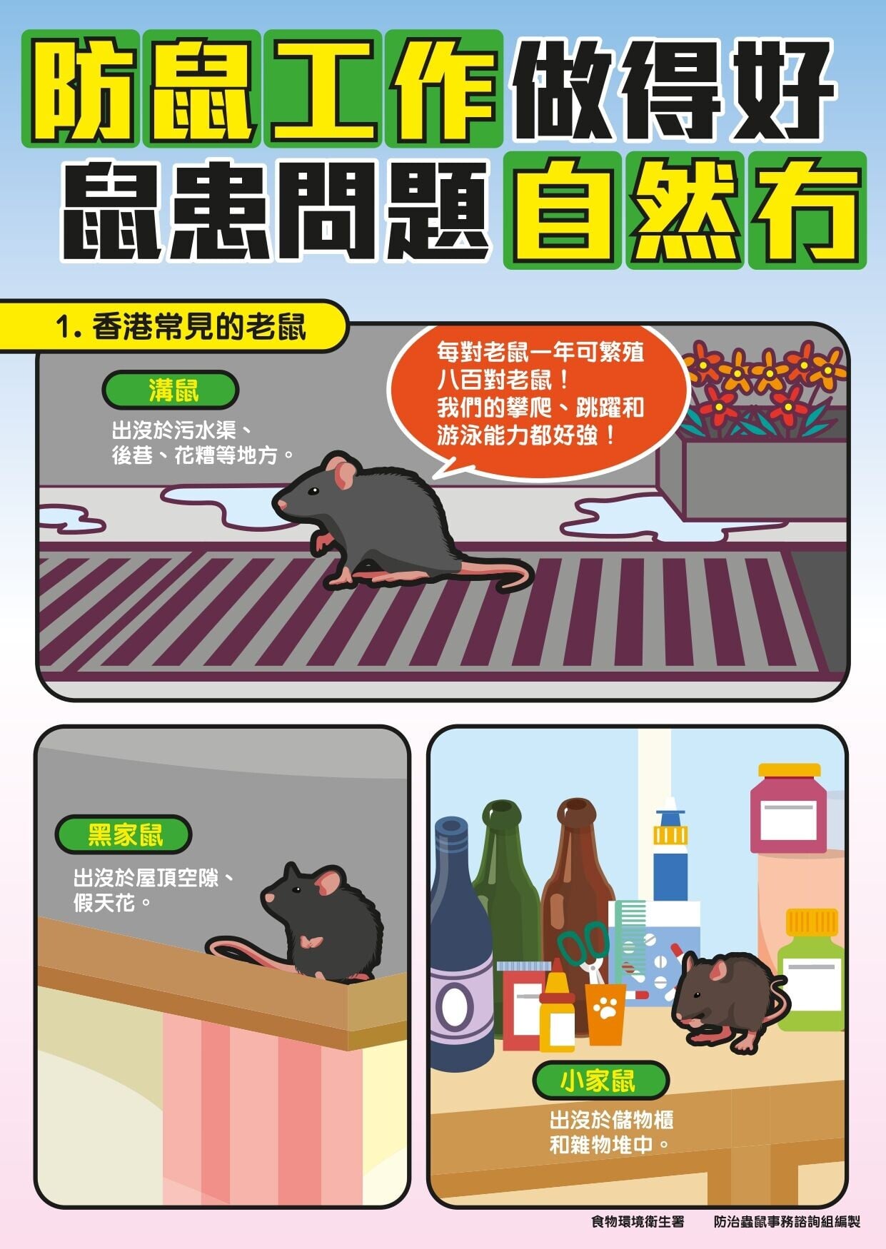 防鼠工作做得好，鼠患問題自然冇，香港常見老師包括溝製、黑家鼠及小家鼠（食物環境衛生署）