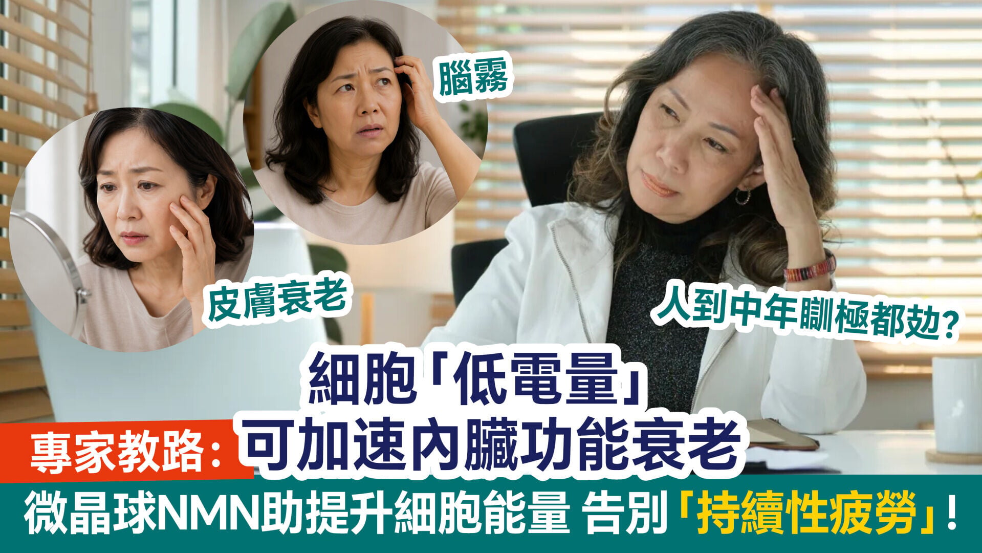 人到中年瞓極都攰？細胞「低電量」可加速內臟功能衰老 專家教路：微晶球NMN助提升細胞能量 告別「持續性疲勞」！