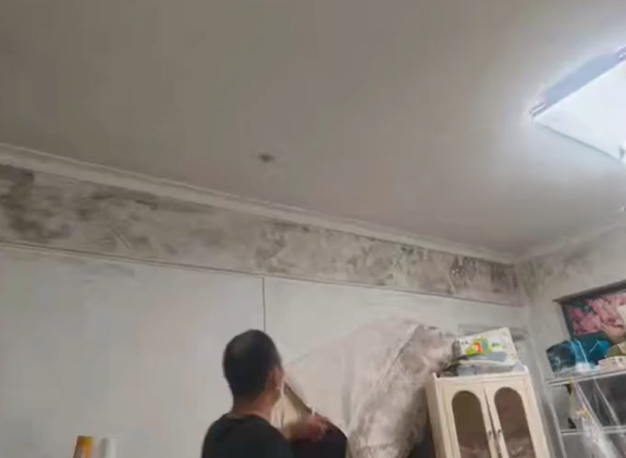 李女士掀開牆紙才驚見牆面早已大面積發霉,懷疑家人身體不適與長期暴露在霉菌環境有關