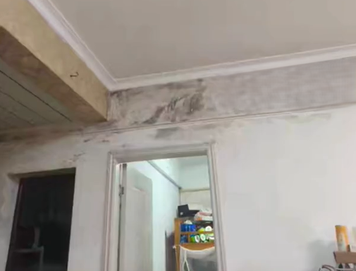 事後經專業除霉人員到場查看,確認牆壁內部早已大範圍滋生霉菌,且並非短時間形成,而是長期潮濕所造成